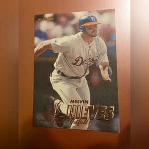 Melvin Nieves Baseball Card